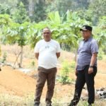 Pemkot Palopo Siapkan 43 Hektare Lahan untuk Budidaya Pisang, Sukseskan Program Pj Gubernur Sulsel