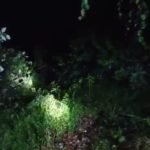 Kronologi Mobil Rush Terjun ke Jurang Sedalam 30 Meter di Palopo, Tewaskan Pendeta Yahya Boong