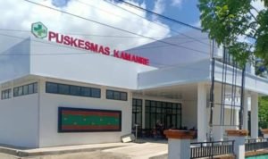 Nakes Honorer Puskesmas di Luwu Mogok Kerja, Ini Penyebabnya