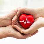 Makanan Sehat untuk Menjaga Kesehatan Jantung Anda