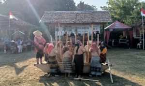 Pemdes dan Pemuda Desa Pattedong Selatan Gelar Pesta Panen, Diramaikan Berbagai Lomba