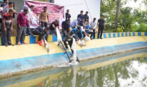 Pj Gubernur Sulsel Bahtiar Baharuddin Lepas 21 Ribu Benih Ikan Nila di Wollangi Bone