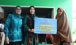 Kunjungi Posyandu dan Tanam Cabai di Macanang Bone, Pj Ketua TP PKK Sulsel Serahkan Bantuan