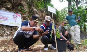 Petani Hingga Kades Yakin Tanaman Sukun Solusi Peningkatan Ekonomi