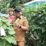 Kadis Pertanian Palopo Dampingi Pj Wali Kota Berkunjung ke KWT, Panen Sayur dan Bagi Bibit Cabai