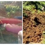 Longsor di Bonglo Bastem Utara Timbun Pengendara Motor, Satu Meninggal