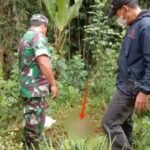 Warga Marante Toraja Utara Geger Temuan Potongan Tubuh Bayi