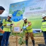 Peringati Hari Bumi, PT Masmindo Tanam 700 Bibit Pohon Buah, dan Mangrove Serta Komitmen Lestarikan Lingkungan