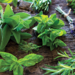 5 Jenis Obat Alami Kaki Bengkak Karena Jantung