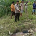 Pamit ke Kebun, Lansia Ditemukan Tak Bernyawa