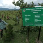 Dukung Rehabilitasi DAS, PT Vale Tanam 13,5 Juta Pohon di 17 Kabupaten se Sulsel