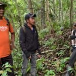 Sudah 6 Hari, Pria Paruh Baya Hilang saat Mencari Rotan di Hutan Dusun Kalamio Seko