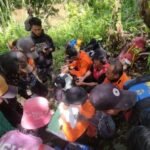 Pria yang Cari Rotan Sudah 9 Hari Hilang di Hutan Seko Luwu Utara