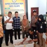 KPU Palopo Gelar PSU Pilkada, Ini Daftar Pemilih yang Berhak Mencoblos