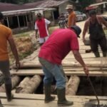 Demi Membantu Melancarkan Perekonomian Masyarakat, PTPN IV Regional VI KSO Kebun Julok Rayeuk Utara Melakukan Perbaikan Jembatan Desa Pelita Sagoup Jaya