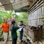 PKM 2025 Dorong Hilirisasi Produk Peternakan di Desa Kalimporo Jeneponto