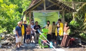 Revolusi Hijau dari Limbah Kakao: Petani Larompong Ubah Sampah Jadi Kompos Bernilai Ekonomi