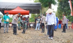 Pemkab Luwu Dukung Program Penanaman Jagung Serentak untuk Wujudkan Swasembada Pangan Nasional