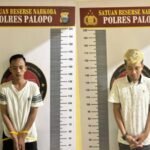 Operasi Beruntun, Polres Palopo Ringkus Dua Pelaku Narkoba