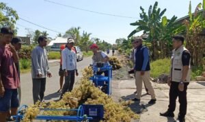 Dosen UNCP Ciptakan Alat Otomatis Penarik Rumput Laut, Produktivitas Petani Naik Dua Kali Lipat