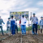 Bupati Morut Tanam Perdana Jagung di  Wawopada, Dorong Kesejahteraan Petani