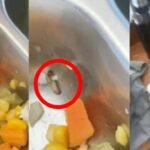 Ulat dalam Hidangan, Program MBG di MAN 3 Makassar Disorot