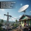 Dampak Kehadiran Starlink Terhadap Kompetisi Provider Internet Lokal Di Negara-Negara Berkembang Dunia