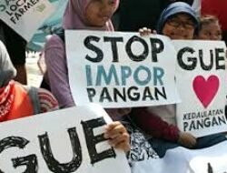 Dampak Kebijakan Importasi Pangan Terhadap Kedaulatan Politik dan Ekonomi Petani Lokal di Indonesia