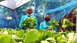 Tantangan Politik Dalam Mewujudkan Ketahanan Pangan Mandiri Di Seluruh Wilayah Indonesia