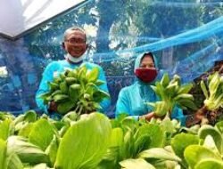 Tantangan Politik Dalam Mewujudkan Ketahanan Pangan Mandiri Di Seluruh Wilayah Indonesia